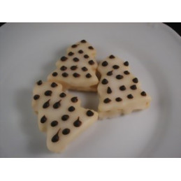 Zitronenbäumchen